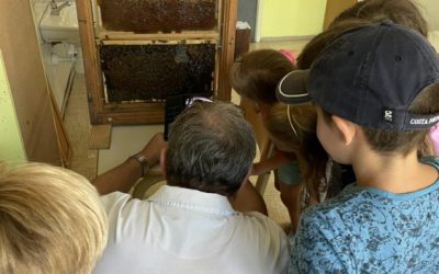 Čebelarji na obisku v PPV